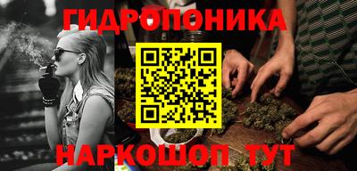 эйфоретик Дубна