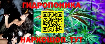 эйфоретик Дубна