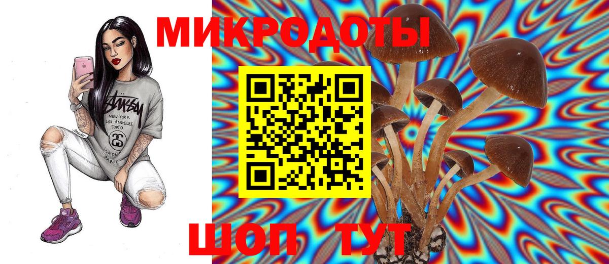 Нальчик  Галлюциногенные грибы мухоморы  Вход с VPN 
